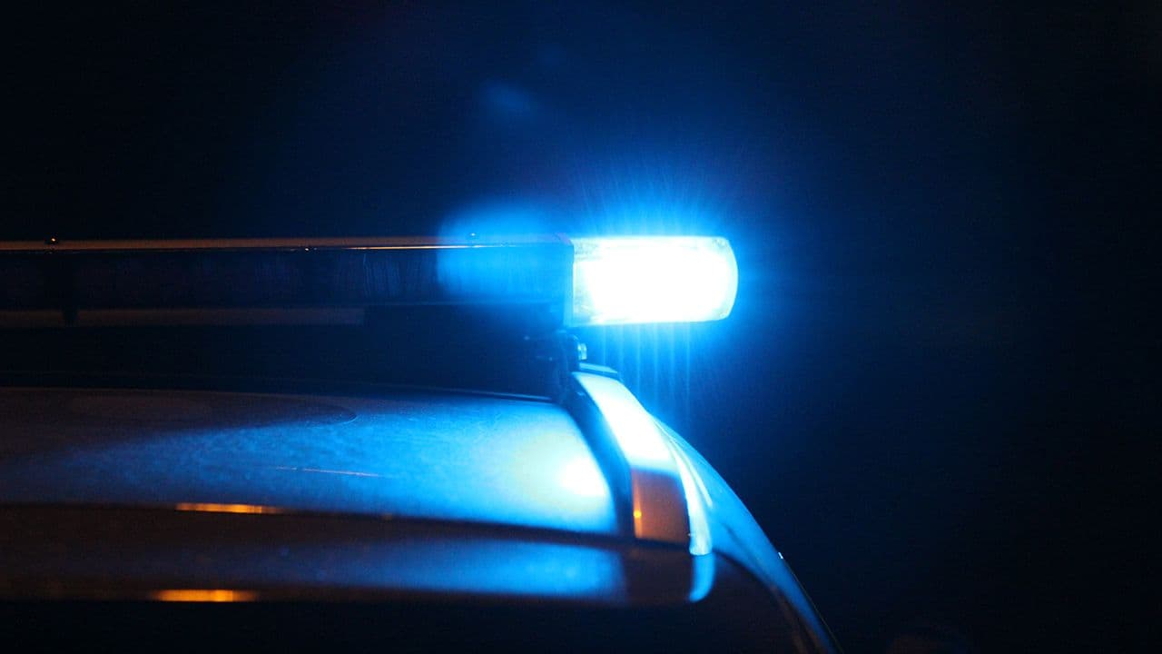 Sex gripna för grov ekonomisk brottslighet