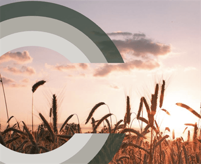 finansiell rådgivare