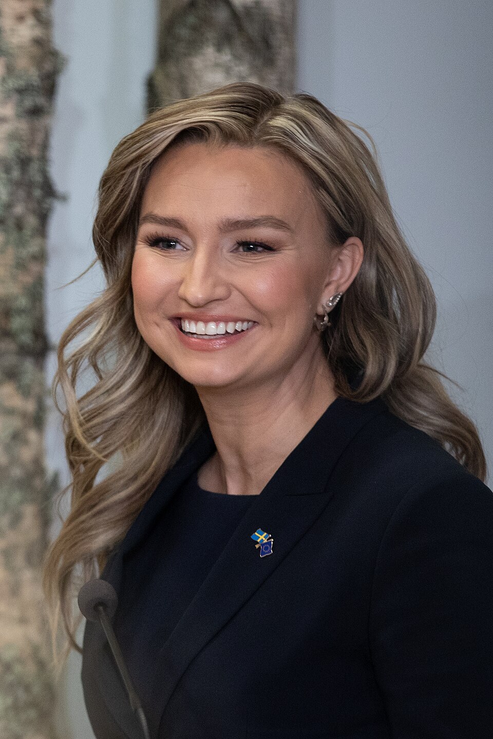 elnätsavgifter granskas