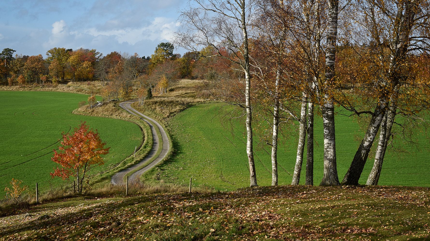 Default featured image