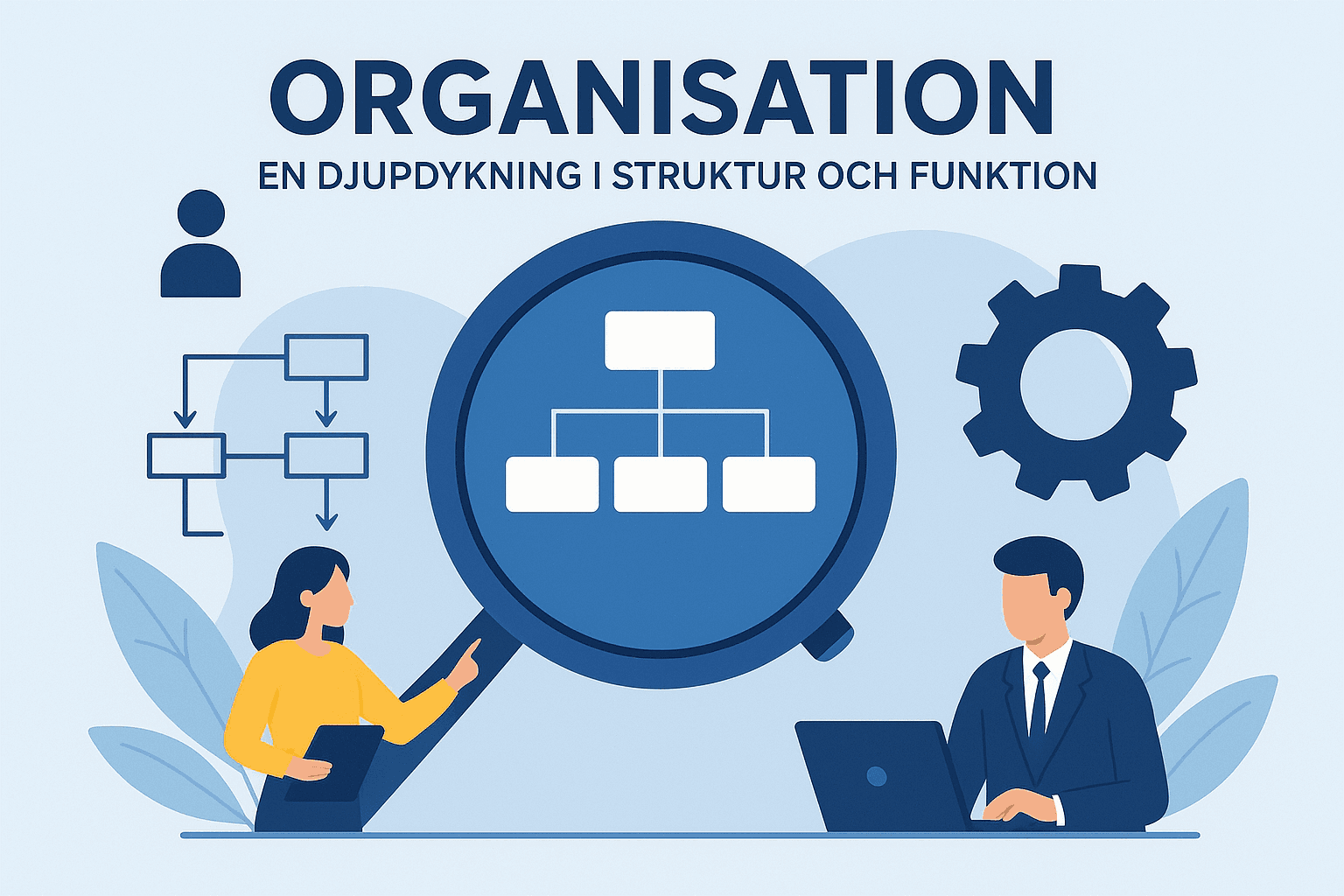 Organisation: En djupdykning i struktur och funktion