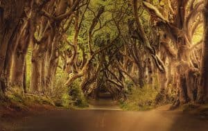 Techlönerna som slår allt i Europa – snittar 900 000 kronor med låg skatt