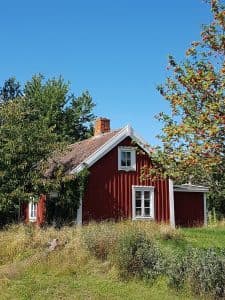En röd trästuga omgiven av grönska och träd under en klarblå himmel.