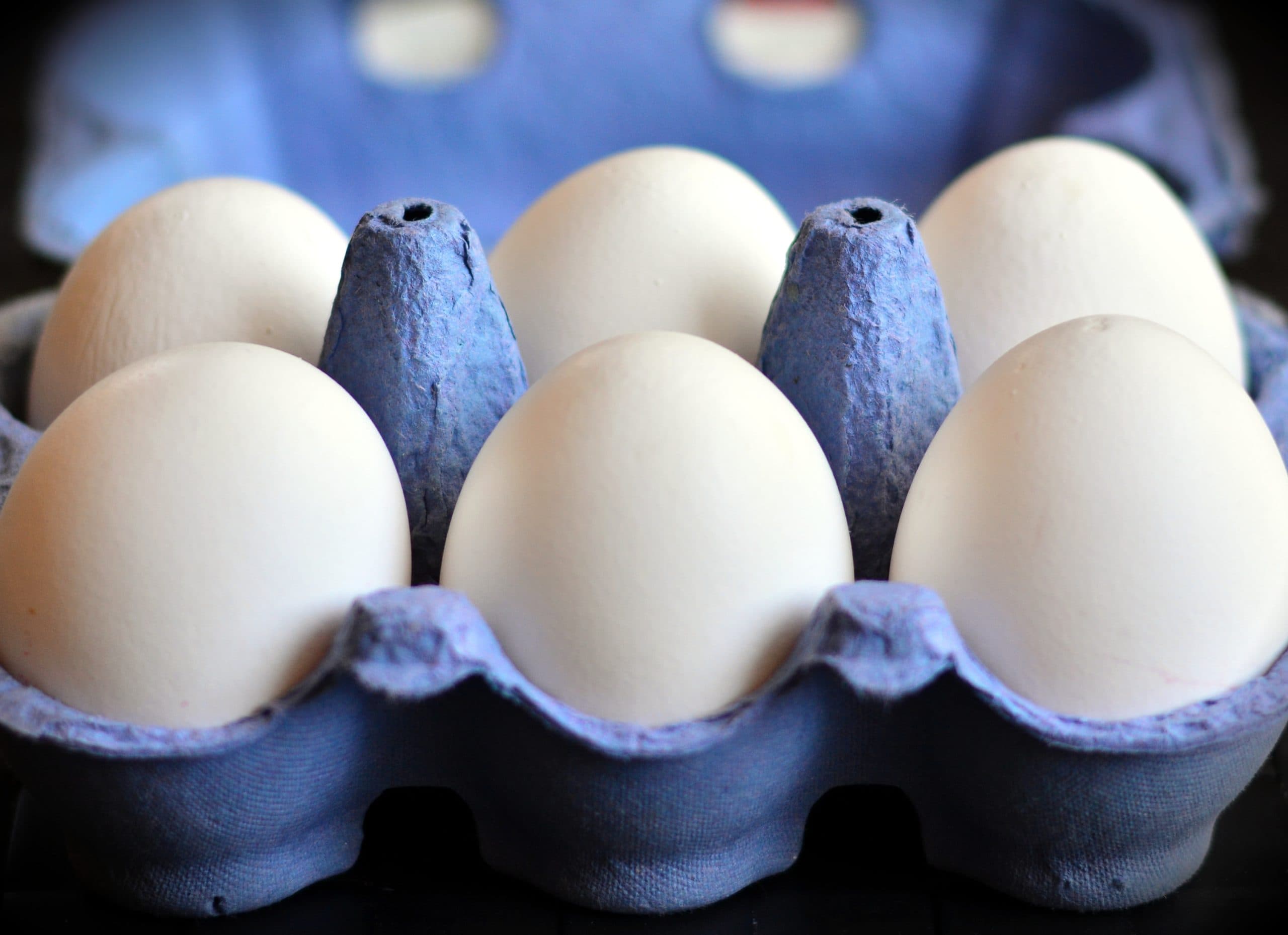 A carton of white eggs in a blue egg carton.