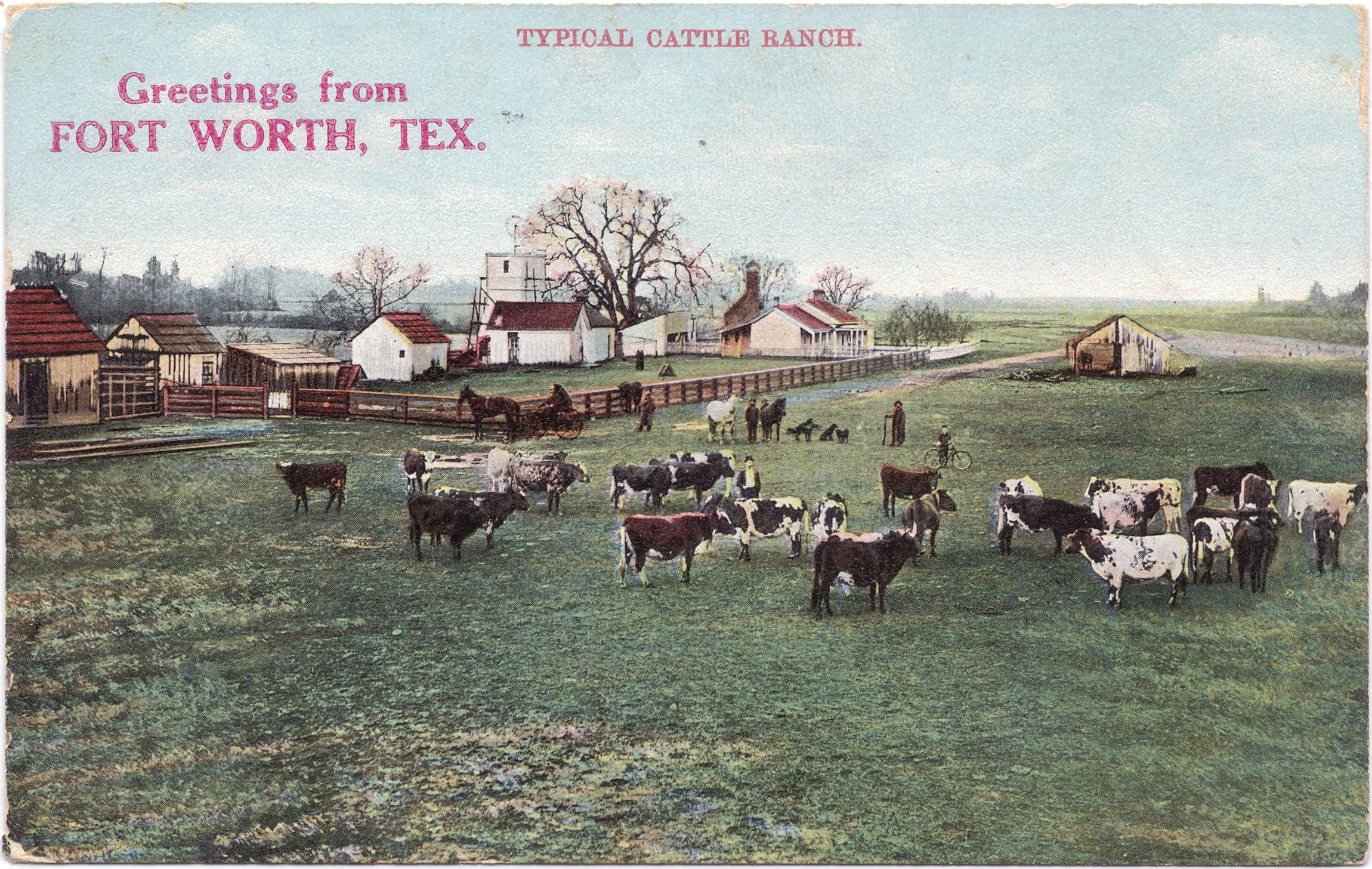 Cattle grazing on a ranch with buildings in the background.
