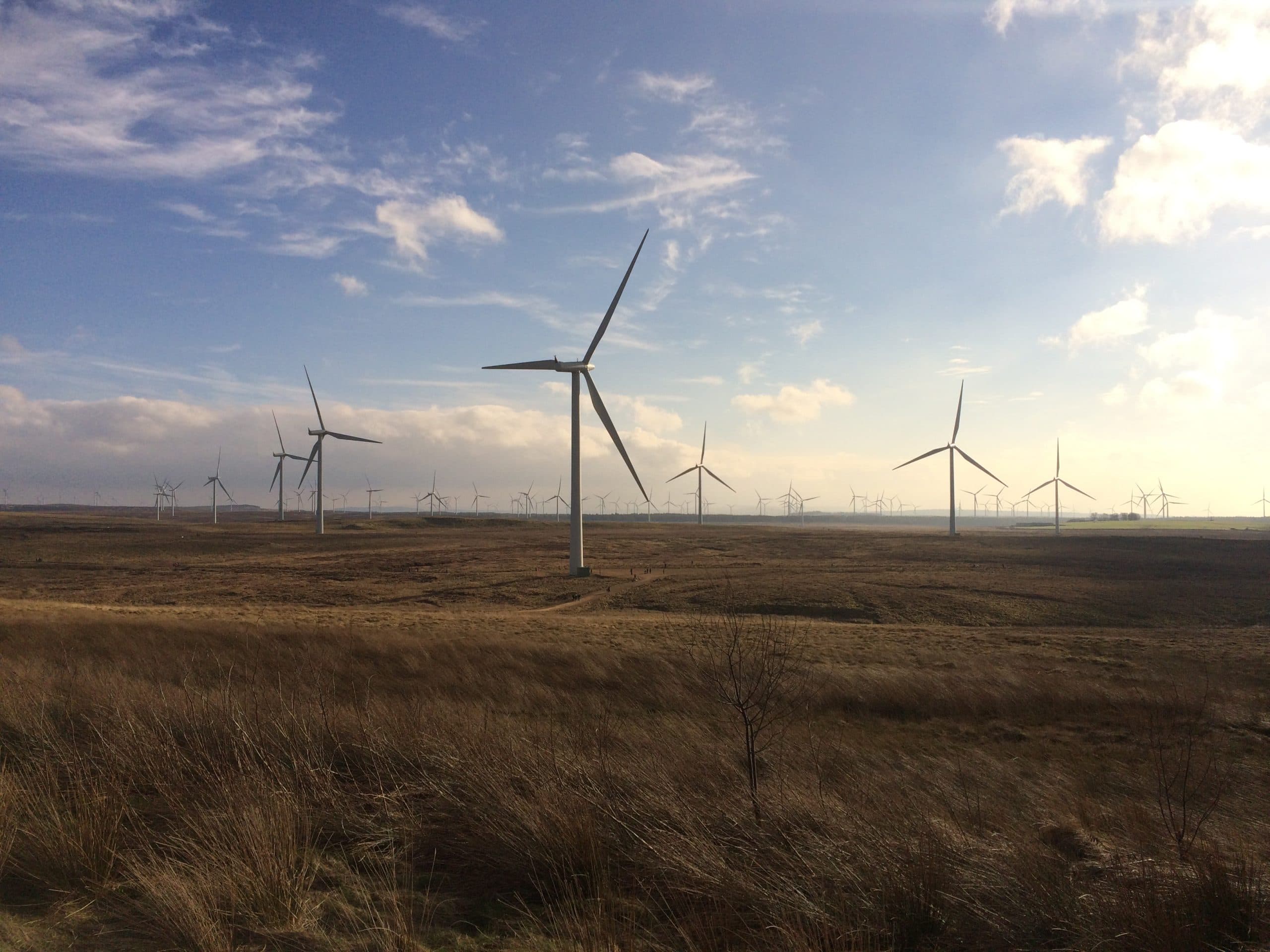 Wind turbines in a field under a blue sky.