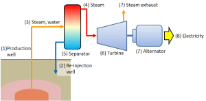 Diagram över ett geotermiskt kraftverk som visar produktionsbrunn, separator, turbin och generator.