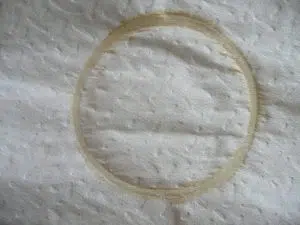 Logotypen för Coffee Stain Studios.