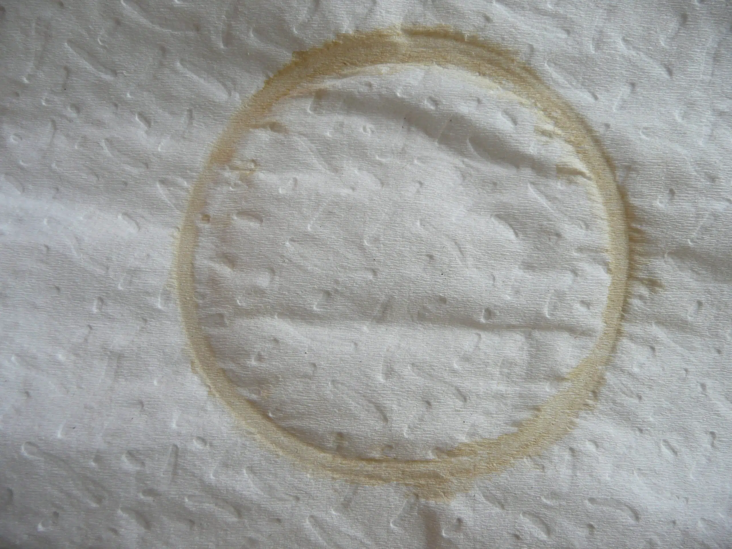 Logotypen för Coffee Stain Studios.