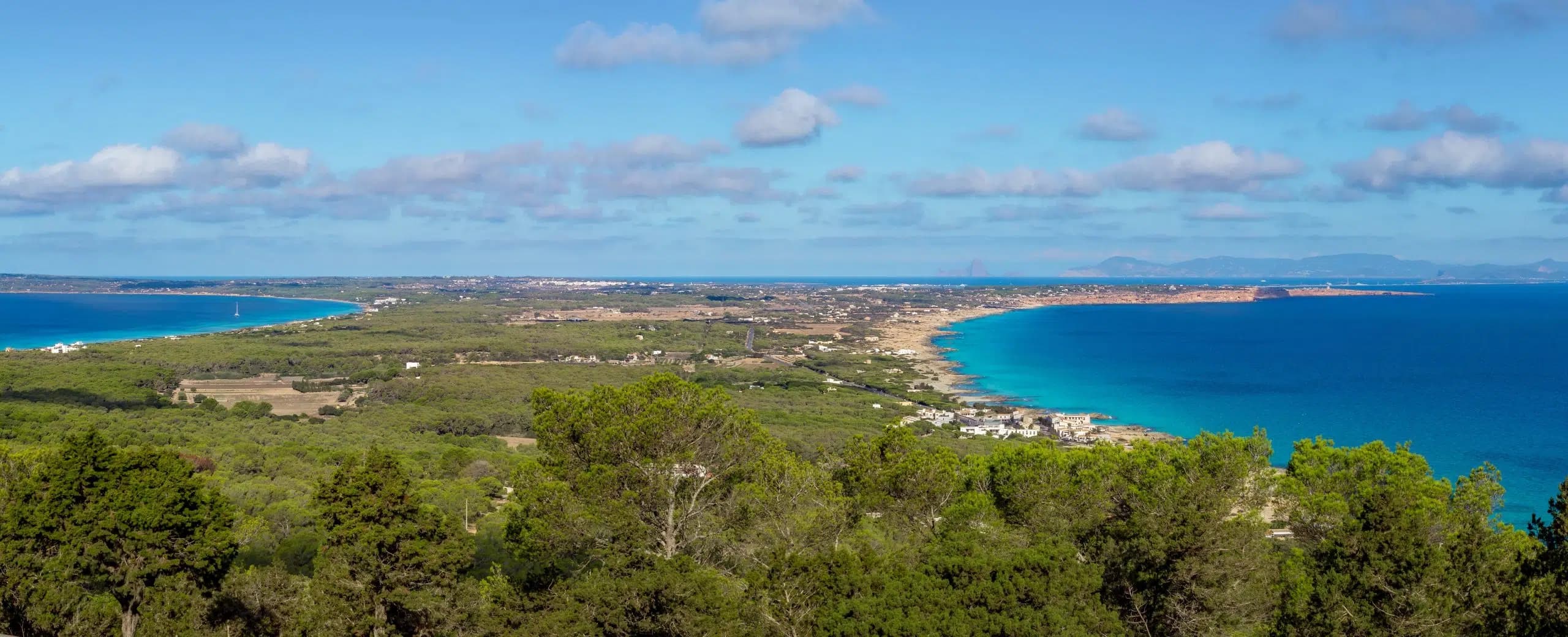 Vy över Formentera med kustlinje och skog.