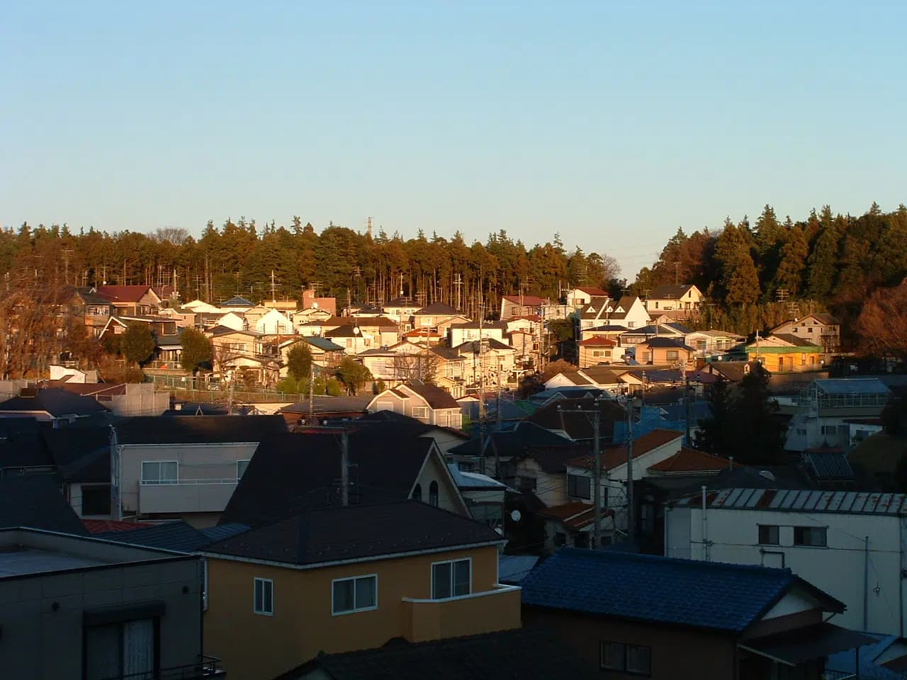Bostadsområde i Zama med hus och träd i bakgrunden.